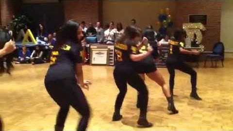 Sigma Lambda Upsilon Fall