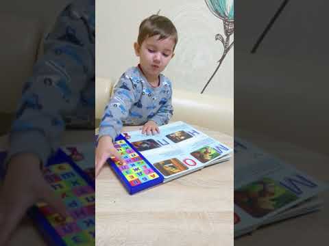 Книга Маша и медведь. Маша учит буквы.