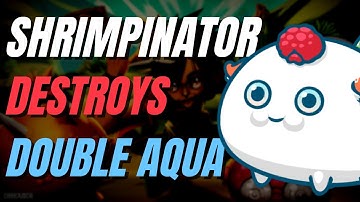 SHRIMPINATOR DESTROYS DOUBLE AQUA | Axie Infinity (2K MMR Gameplay)