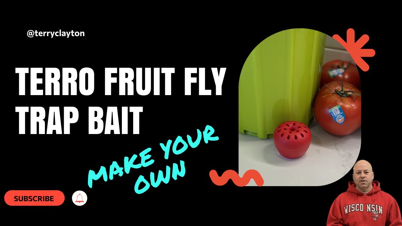 Make your own Terro Fruit Fly Trap Solution 