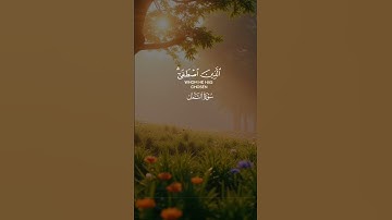 تلاوه خاشعه للشيخ ياسر الدوسري سوره النمل بصوت خافت #foryou #اكسبلور #تلاوة_خاشعة #قران_كريم #اكسبلو