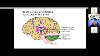 CBIT (Comprehensive Behavioral Intervention for Tics )