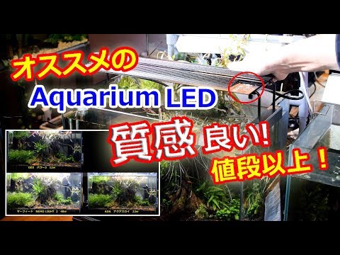 オススメの！？アクアLED！その実力とは？ [NEMO LIGHT 2 ]