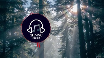 Kevin MacLeod - 8bit Dungeon Level - Video Classica [Dance & Electronic] Loop