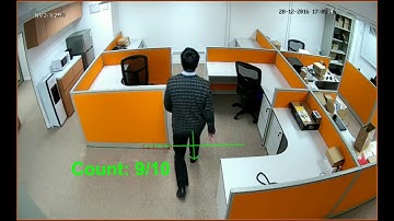 WAMA Video Analytics - Crowd Monitoring