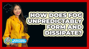 How Does Fog Unpredictably Form And Dissipate? - Weather Watchdog