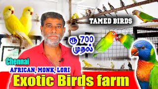 Exotic Birds Farm Tour | தமிழ் | For Sales | Pallavaram | African, Conure, Monk | @GoldenFarmingg