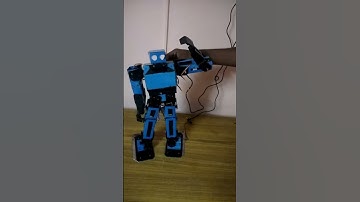 humanoid robot