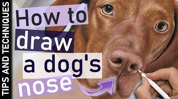 How to draw a dog nose in pastels | The importance of layers to get the 3D shape