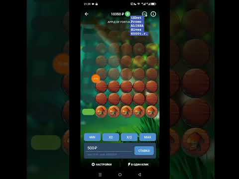 «Играйте в 1xbet онлайн казино без ограничений: зеркало для игроков из Российской Федерации»