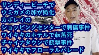 ハワイニュース　10/06/2023：ワイキキでフローラルパレード、ワイキキのホテルで転落死、チャイナタウンで銃撃事件、サンディービーチでウミガメの卵が孵化、カポレイのショッピングセンターで刺傷事件