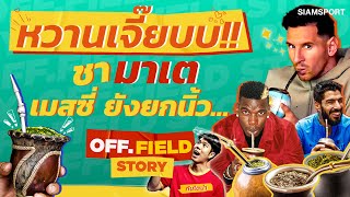 ไขความลับ ชามาเต ทำไมใครๆ ก็ชอบ... | OFF.FIELD STORY EP.02 | 27.04.2023