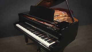 Yamaha Disklavier GC1 53 Baby Grand Piano (#6000285)
Built in Japan in 2002, beautiful condition. Plays itself with factory-installed Disklavier Mark III player system.
Buy now at https://cpno.us/ahu4
Nationwide Delivery: Our specialty, safe and affordable.
Financing available.
Caruso Piano Gallery
New Englands Piano Destination :: Since 1929.
Meet the Team :: http://youtu.be/6cEIzesm-5I
http://carusopianos.com
800-264-6614
info@carusopianos.com Yamaha Disklavier GC1 53 Baby Grand Piano (#6000285)