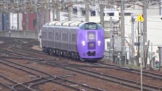 フラノラベンダーEXP