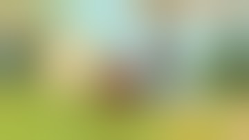 Axe clicker funny oswald are chopping in random tree (3) [4x speed]