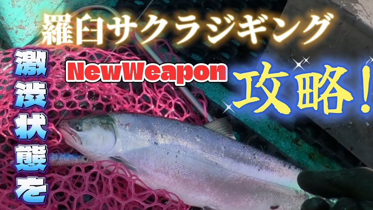 激渋の羅臼沖サクラに新たな攻略法‼️【CherrySalmon】桜鱒ジギング