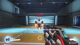 Overwatch: Beta (Training)
