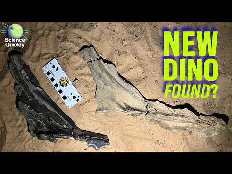 This week in science: Dinosaur discovery, vaccine shake-ups and dirty air risks