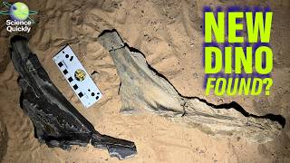 New dino, vaccine shake-ups, dirty air risks