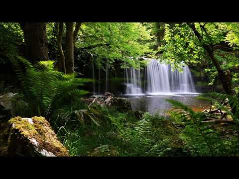 من التلاوات النادرة والجميلة للشيخ عبدالله خياط سورة يس