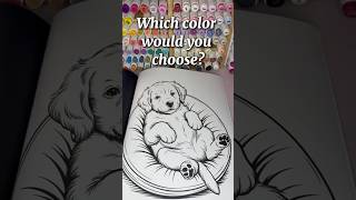 Aurora Borealis Puppy Coloring Book for Adults - Relaxing Mindful Stress Relief