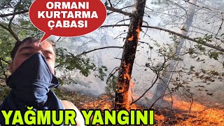 Yangin Var Yağmurla Gelen Yangineki̇p İşi̇ Ormani Kurtarmakzorlu Müçadele
