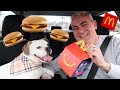 Cheeseburger mukbang with my dog