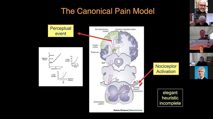 Dr. Howard Fields (UCSF) "Pain, a Motivation Decision Model"