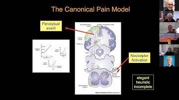 Dr. Howard Fields (UCSF) "Pain, a Motivation Decision Model"