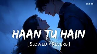 Haan Tu Hain (Slowed   Reverb) | Pritam, KK | Jannat | SR Lofi