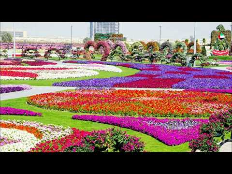 Beautiful Nature Flower Garden Wallpaper