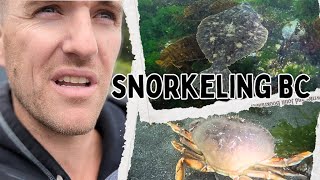 Snorkeling For Crab in BC! 🇨🇦 #vancouver #washington