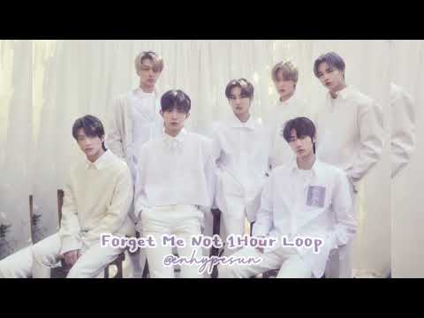 ENHYPEN Forget Me Not 1 HOUR LOOP