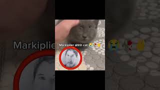 lol (song: ilyTOMMY - zzz) #ilytommy #hoodtrap #cats #markiplier #minecraft #memesdaily #yt