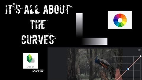 How to use the Curve tool for editing in Snapseed App??