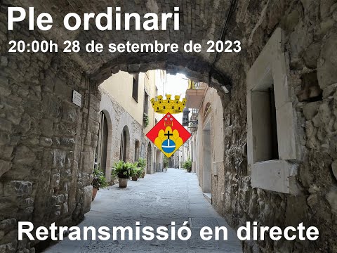 Ple municipal ordinari
