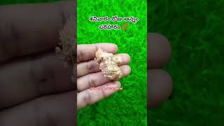 శనివారం రోజు అల్లం పరిహారం 💯|| #shorts #tips #telugu #bhakti #astrology #machiraju
