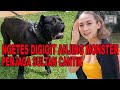 NGETES DIGIGIT ANJING MONSTER PENJAGA SULTAN CANTIK