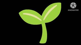 Flowers Other Plants Noto Color Animated Emoji