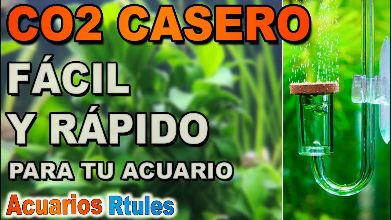 Cómo hacer Co2 casero para acuario con levadura, FUNCIONA