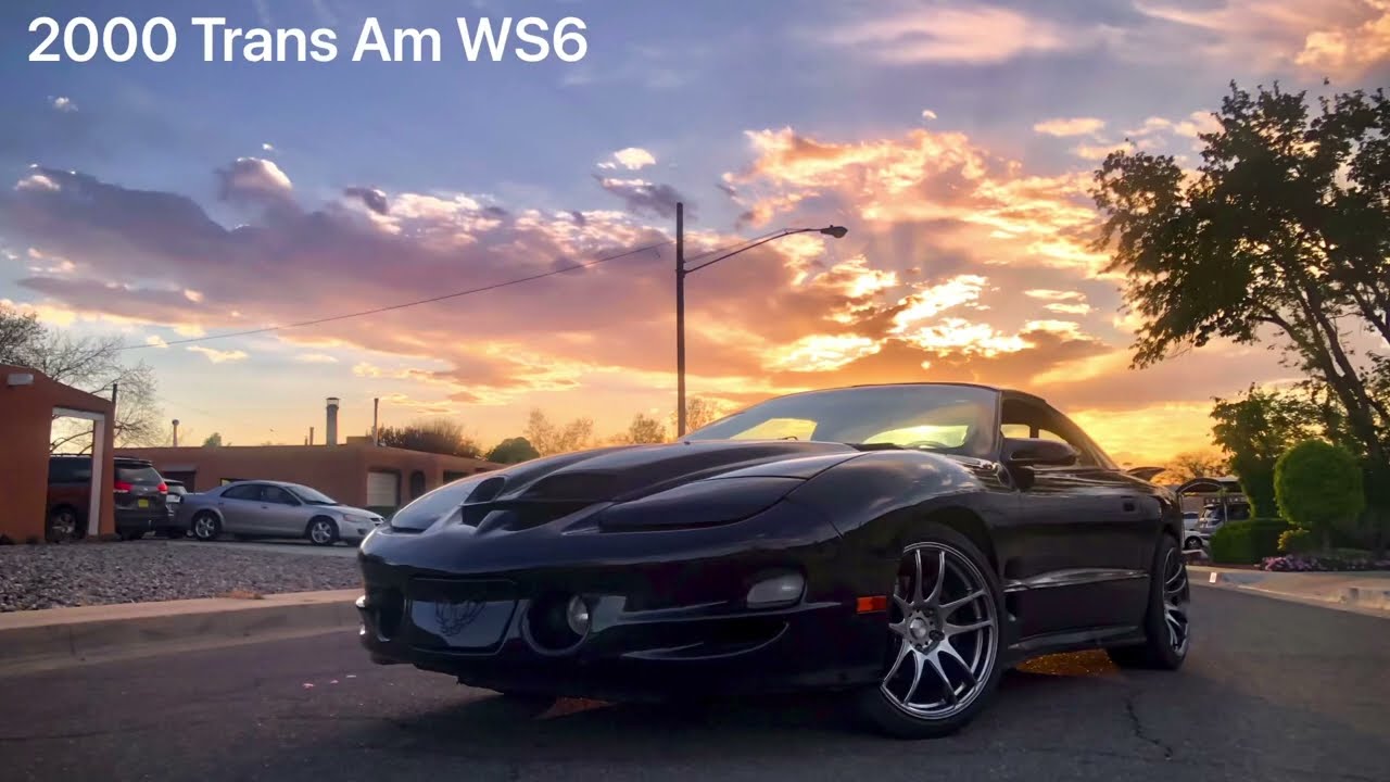 Trans Am WS6 vs the world