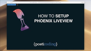 How to Setup Phoenix LiveView