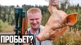 СТРЕЛЯЕМ В СВИНУЮ ГОЛОВУ! | ЛОПАТУ | 200 метров! EDGUN MATADOR 6.35mm СТРЕЛЯЕМ В СВИНУЮ ГОЛОВУ! | ЛОПАТУ | 200 метров! EDGUN MATADOR 6.35mm