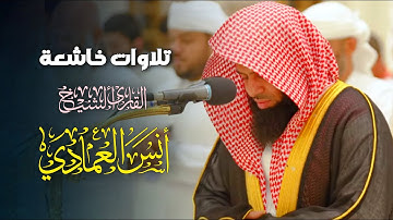 ما تيسر من سورة طه تلاوة خاشعة للشيخ أنس العمادي | صلاة المغرب 24-8-1446 هـ