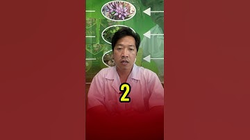 M..ẹo tiện ích gửi tới bà con cô bác#não #xươngkhớp #duocsiquan