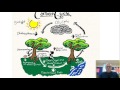 Matter Cycles in Ecosystems: Water, Carbon, and Nitrogen Explained
