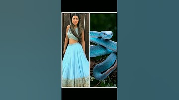 Nagain VS Snake pic #viral #whatsappstatus #shorts #subscribe #comment 💖🐍