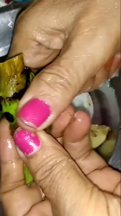 brinjal 🍆🍆🍴 delicious