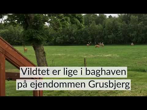 Grusbjerg, hvor vildtet er lige ude i baghaven