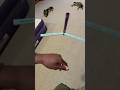 Goofy ahh clip 😭🙏🏾 #balisongtrainer #balisongflipping #cat #pets #viralvideo #fyp